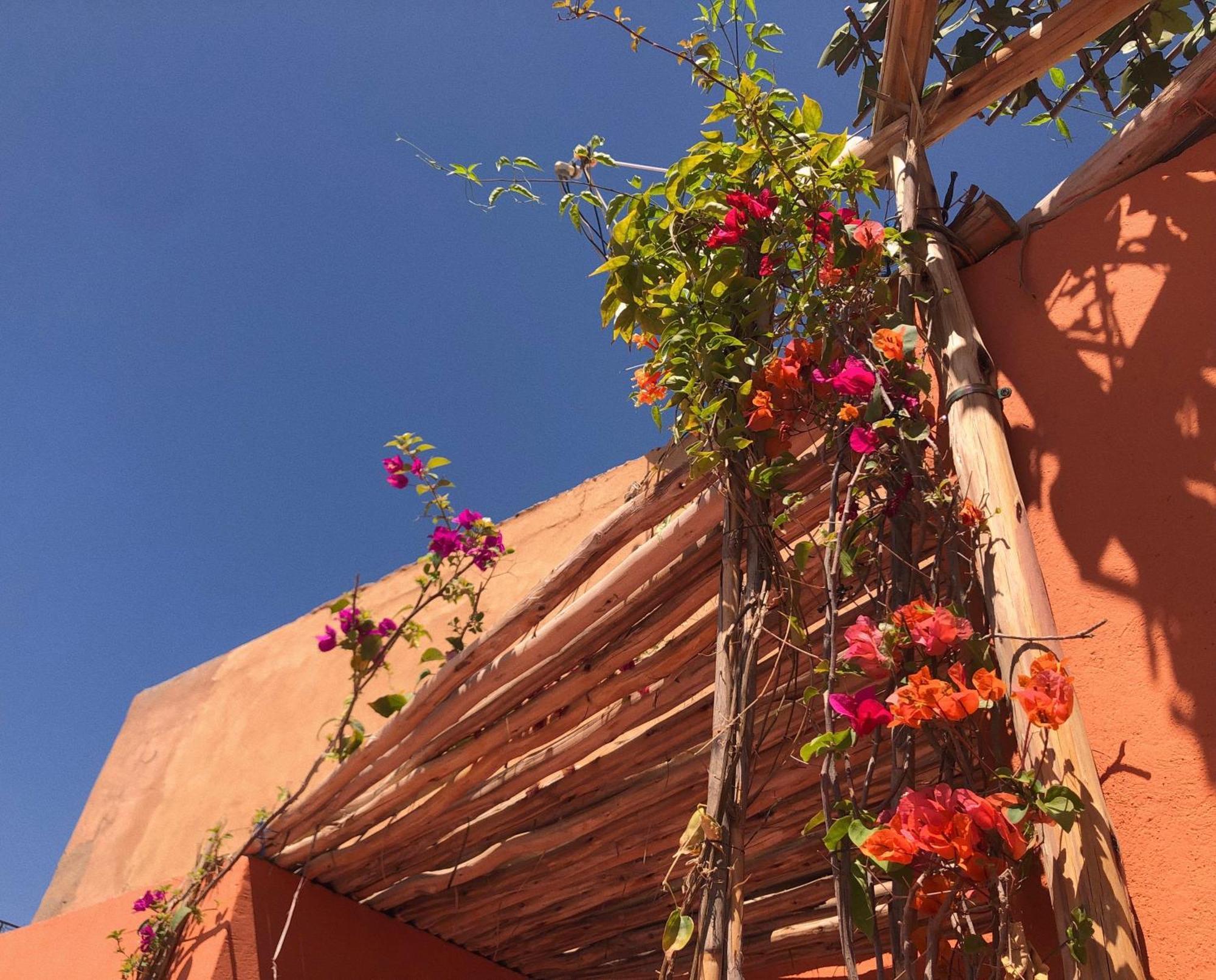 Riad Imndi Marrakesh Eksteriør bilde