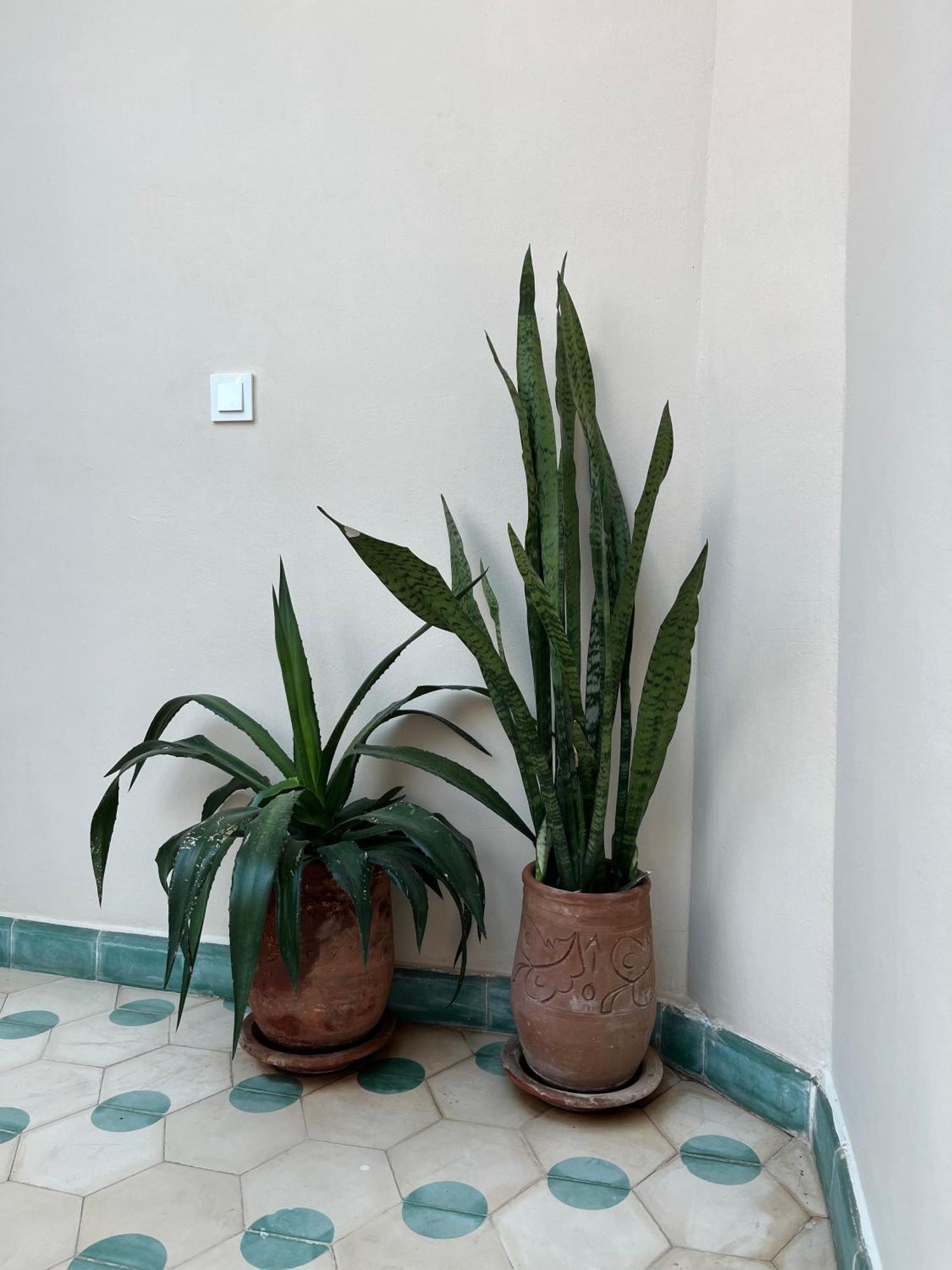 Riad Imndi Marrakesh Eksteriør bilde